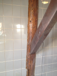 Renovatie badkamerwand zorgboerderij tegelwerk